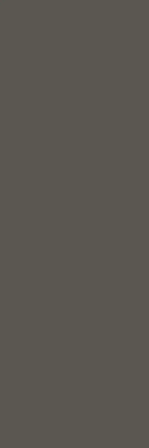 FOSSIL GREY.webp